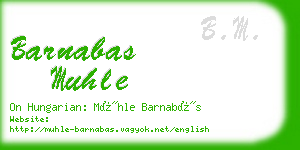 barnabas muhle business card